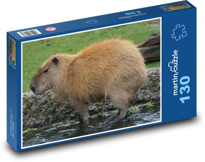Kapybara - hlodavec, zviera - Puzzle 130 dielikov, rozmer 28,7x20 cm 