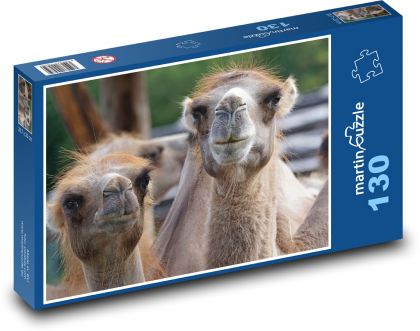 Velbloud - zvíře, Afrika - Puzzle 130 dílků, rozměr 28,7x20 cm