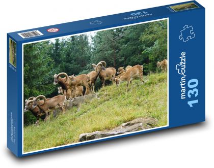 Mufflon - eine Herde von Huftieren - Puzzle - 130 Teile