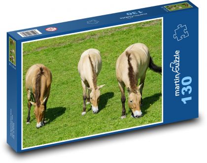 Převalský kůň - divoké zvíře - Puzzle 130 dílků, rozměr 28,7x20 cm