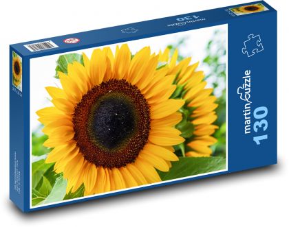Slunečnice - květina, léto - Puzzle 130 dílků, rozměr 28,7x20 cm