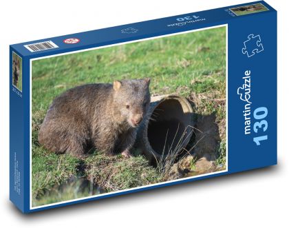 Wombat - animal, zoo - Puzzle 130 pieces, size 28.7x20 cm 