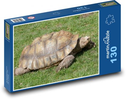 Żółw - gad, zwierzę - Puzzle 130 elementów, rozmiar 28,7x20 cm