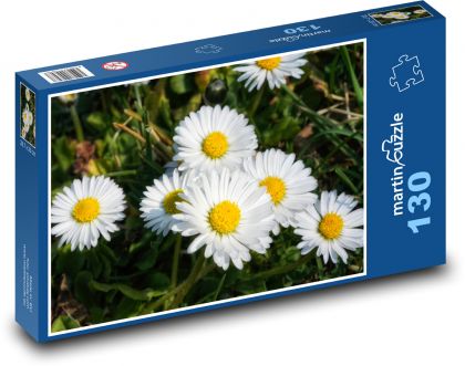 Daisy - flowers, meadow - Puzzle 130 pieces, size 28.7x20 cm 