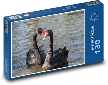 Čierna labuť - vták, rybník - Puzzle 130 dielikov, rozmer 28,7x20 cm 