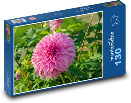 Jiřina - růžový květ, květina - Puzzle 130 dílků, rozměr 28,7x20 cm