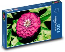 Fialová jiřina - květ, zahrada Puzzle 130 dílků - 28,7 x 20 cm