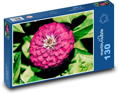 Fialová jiřina - květ, zahrada - Puzzle 130 dílků, rozměr 28,7x20 cm