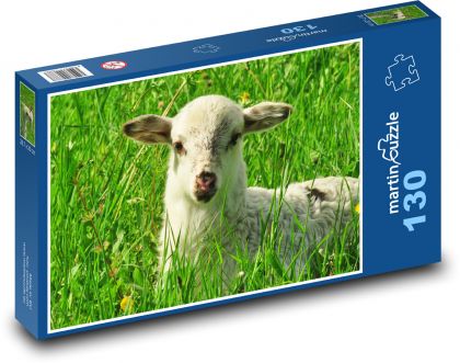 Jahňa - ovce, lúka - Puzzle 130 dielikov, rozmer 28,7x20 cm 