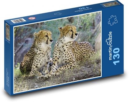 Gepard - divoká kočka, Afrika - Puzzle 130 dílků, rozměr 28,7x20 cm