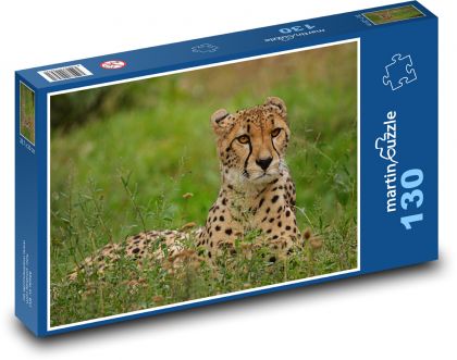 Gepard - velká kočka, Afrika - Puzzle 130 dílků, rozměr 28,7x20 cm