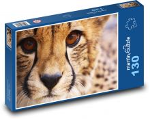 Gepard - zwierzę, ssak Puzzle 130 elementów - 28,7x20 cm