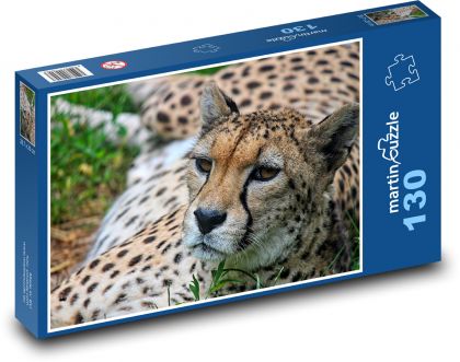 Gepard - bestia, duży kot - Puzzle 130 elementów, rozmiar 28,7x20 cm