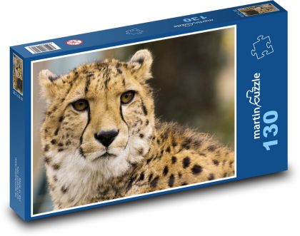 Gepard - divoké zvíře, zoo - puzzle 130 dílků