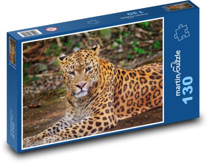 Leopard - beast, animal - Puzzle 130 pieces, size 28.7x20 cm 