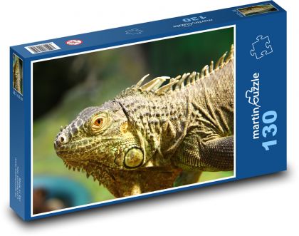 Iguana - lizard, reptile - Puzzle 130 pieces, size 28.7x20 cm 