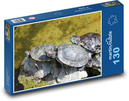 Želvy - plazy, zvířata - Puzzle 130 dílků, rozměr 28,7x20 cm