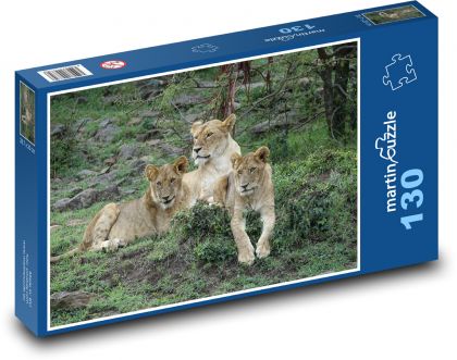 Lioness - lion, cat - Puzzle 130 pieces, size 28.7x20 cm 