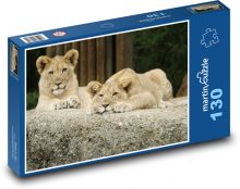 Mláďa leva - dvojčatá, zvieratá Puzzle 130 dielikov - 28,7 x 20 cm 