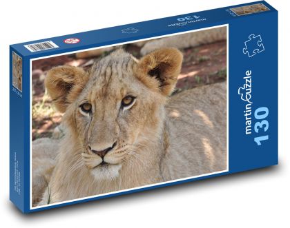 Lioness - wild cat, mammal - Puzzle 130 pieces, size 28.7x20 cm 