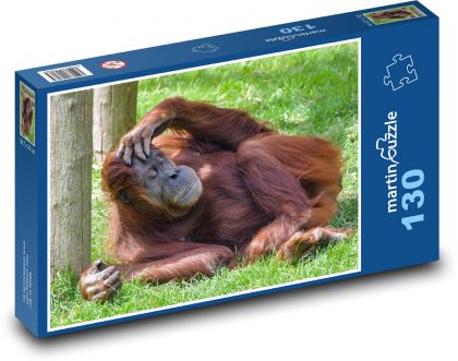 Orangutan - spiace opice, zviera - Puzzle 130 dielikov, rozmer 28,7x20 cm 
