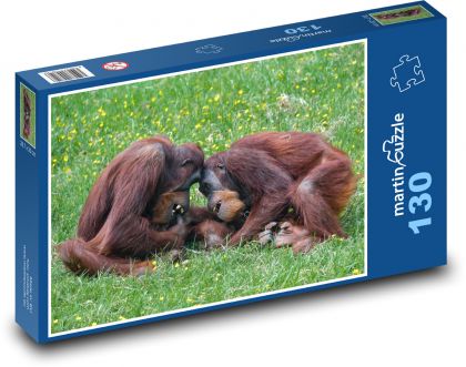 Hrajúce orangutany - primát, opice - Puzzle 130 dielikov, rozmer 28,7x20 cm 
