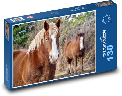 Bretaňský kůň - zvíře, pole - Puzzle 130 dílků, rozměr 28,7x20 cm