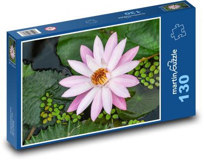 Różowa lilia wodna - roślina wodna, kwiat - Puzzle 130 elementów, rozmiar 28,7x20 cm