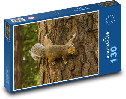 Veverička - strom, les - Puzzle 130 dielikov, rozmer 28,7x20 cm 