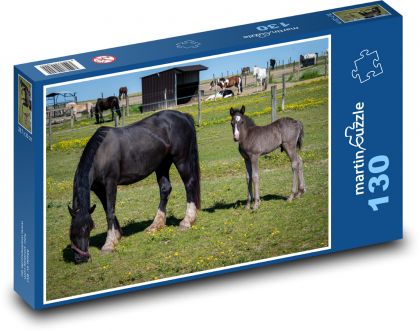 Black horse - foal, mare - Puzzle 130 pieces, size 28.7x20 cm 