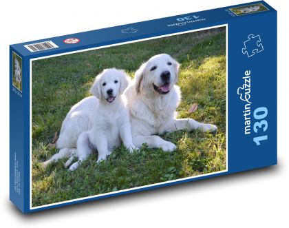 Zlatý Retriever - štěně, pes - Puzzle 130 dílků, rozměr 28,7x20 cm