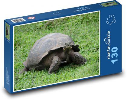 Żółw Galapagos -, zwierzę - Puzzle 130 elementów, rozmiar 28,7x20 cm