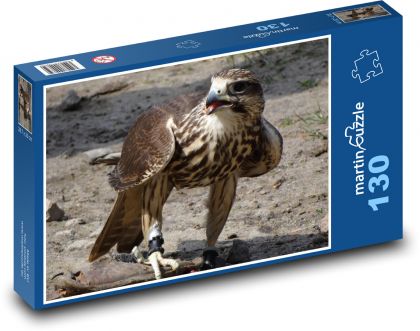 Káně - pták, dravec - puzzle 130 dílků