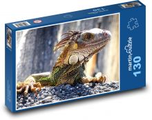 Leguán - jašterica, divá zver Puzzle 130 dielikov - 28,7 x 20 cm 