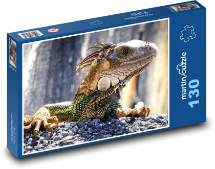 Leguán - ještěrka, divoká zvěř - Puzzle 130 dílků, rozměr 28,7x20 cm