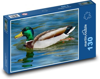 Wild duck - duck, aquatic animal - Puzzle 130 pieces, size 28.7x20 cm 