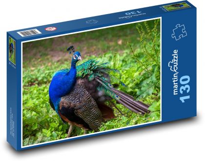 Páv - vták, zviera - Puzzle 130 dielikov, rozmer 28,7x20 cm 