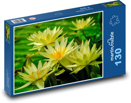 Žlutý leknín - rybník, vodní květina - puzzle 130 dílků
