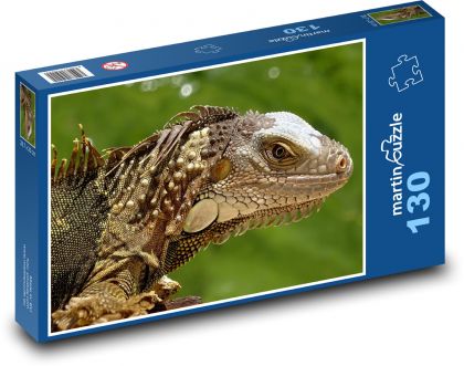 Leguan - Eidechse, Florida - Puzzle - 130 Teile