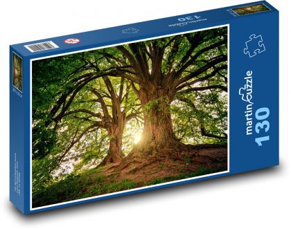 Stromy - sluneční světlo, příroda - puzzle 130 dílků