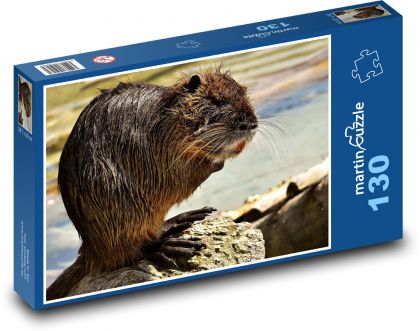 Nutria - zwierzę, szczur wodny - Puzzle 130 elementów, rozmiar 28,7x20 cm