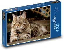 Kot domowy - zwierzę domowe, zwierzę Puzzle 130 elementów - 28,7x20 cm
