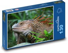 Iguana - plaża, Kostaryka Puzzle 130 elementów - 28,7x20 cm