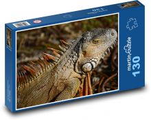 Leguán - ještěrka, plaz Puzzle 130 - 28,7x20 cm