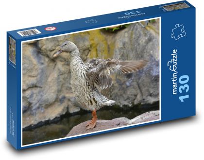 Divoká kačica - vodný vták, zviera - Puzzle 130 dielikov, rozmer 28,7x20 cm 