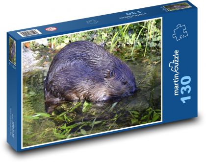 Bobr - vodní živočich, hlodavec - Puzzle 130 dílků, rozměr 28,7x20 cm