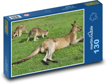 Kangaroos - Australia, animal - Puzzle 130 pieces, size 28.7x20 cm 