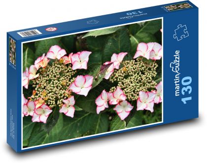 Hortenzie - kvety, záhrada - Puzzle 130 dielikov, rozmer 28,7x20 cm 