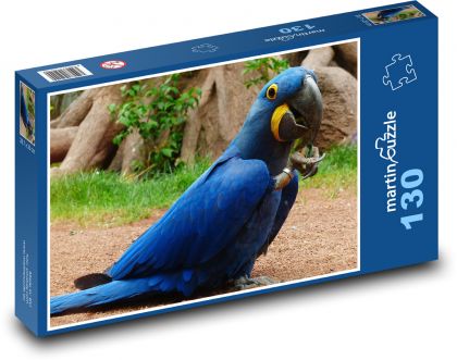 Modrý papoušek - hyacintový papoušek - Puzzle 130 dílků, rozměr 28,7x20 cm