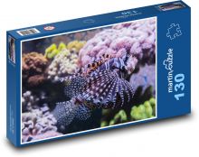 Squid - aquarium, fish Puzzle 130 pieces - 28.7 x 20 cm 